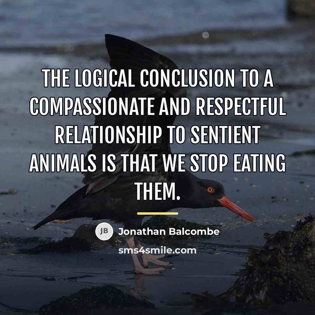 “The logical conclusion to a compassionate and respectful relationship to…” quote by Jonathan Balcombe