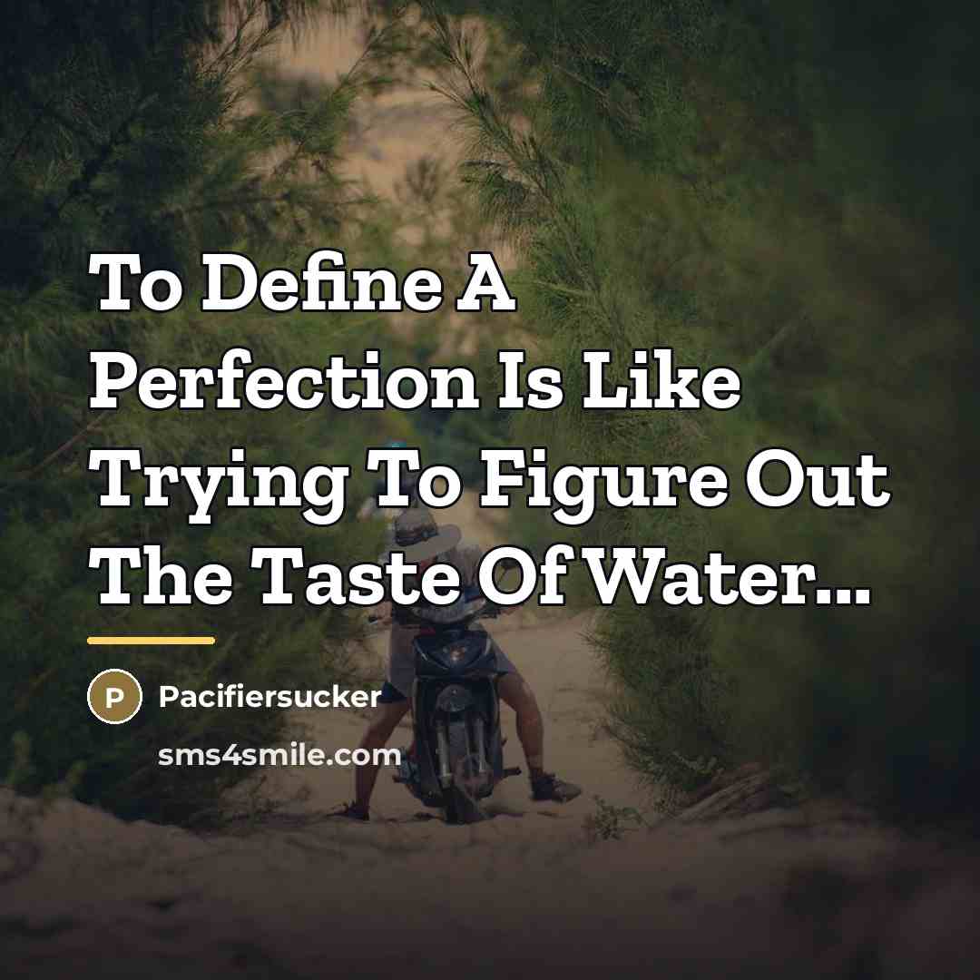 “To Define A Perfection Is Like Trying To Figure Out…” quote by Pacifiersucker
