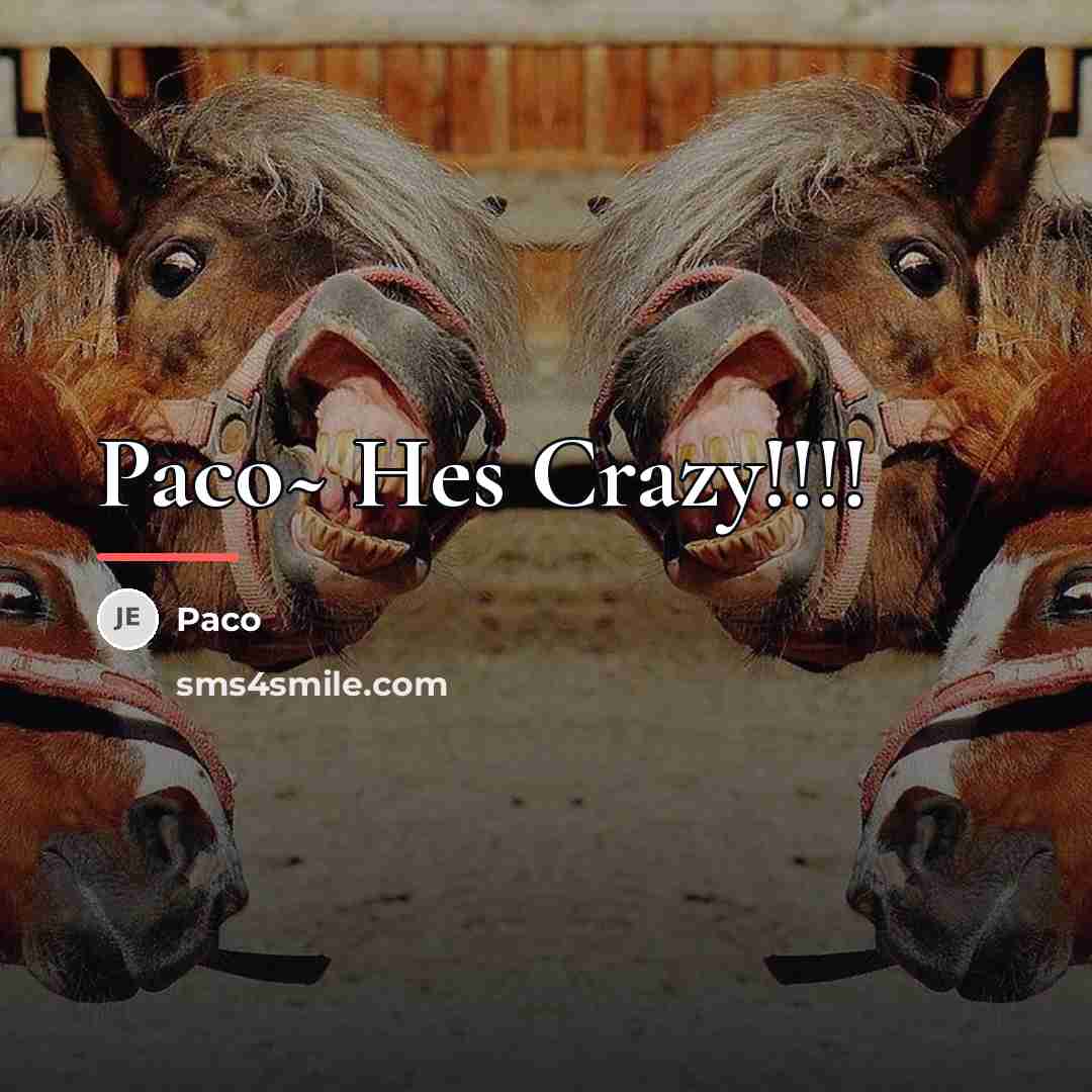 “Paco~ Hes Crazy!!!!…” quote by Paco