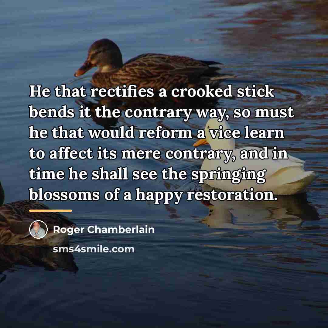 “He that rectifies a crooked stick bends it the contrary…” quote by Roger Chamberlain