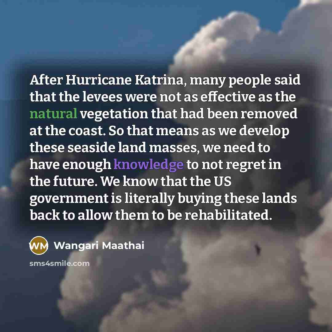 “After Hurricane Katrina, many people said that the levees were…” quote by Wangari Maathai