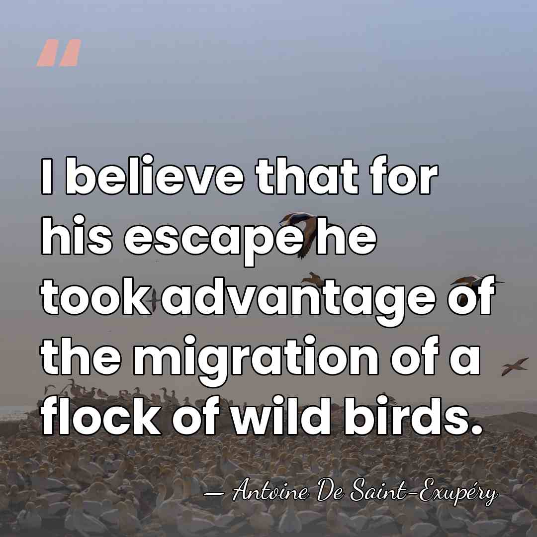 I believe that for his escape he took advantage of the migration&hellip; - Antoine de Saint-Exupery