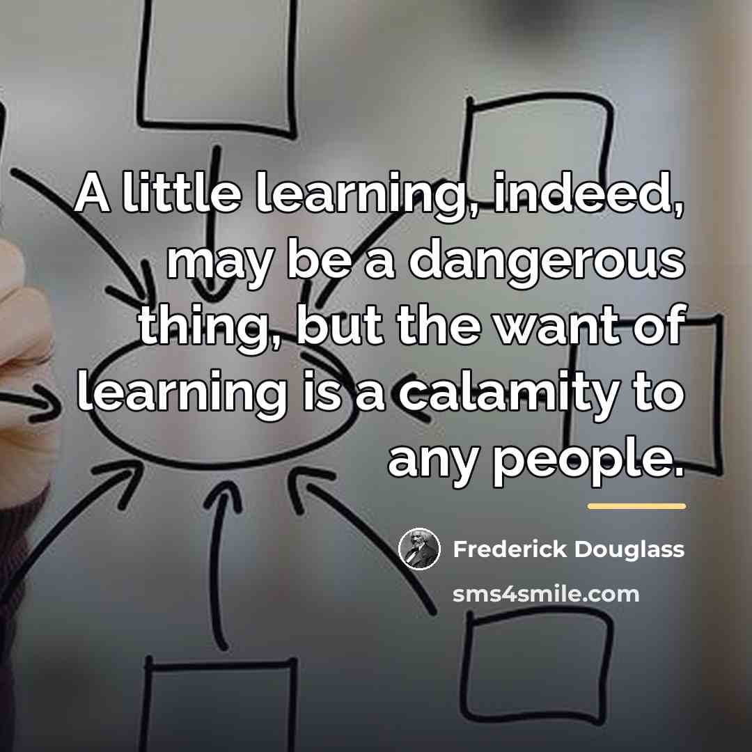 “A little learning, indeed, may be a dangerous thing, but…” quote by Frederick Douglass