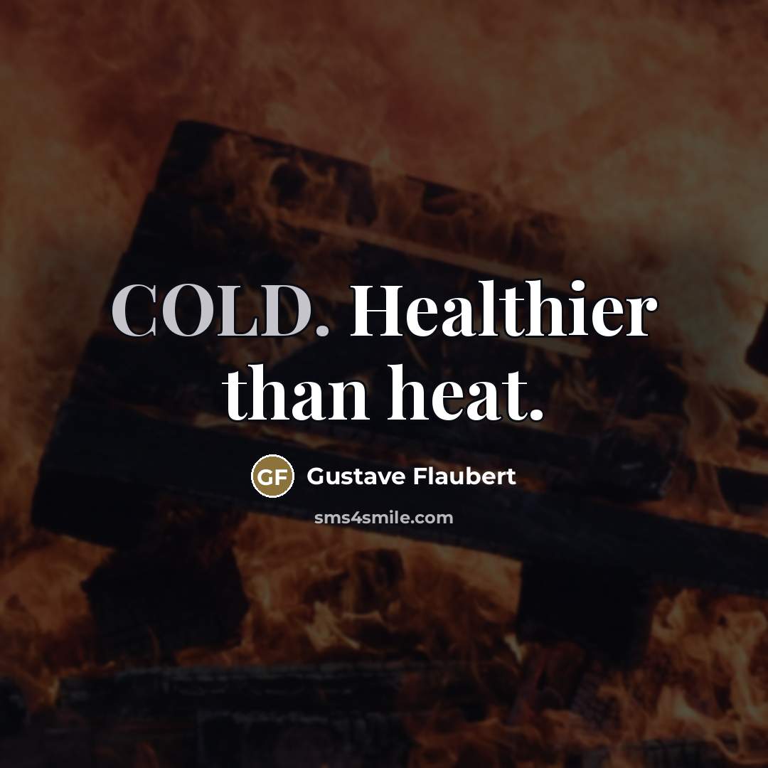 “COLD. Healthier than heat.…” quote by Gustave Flaubert
