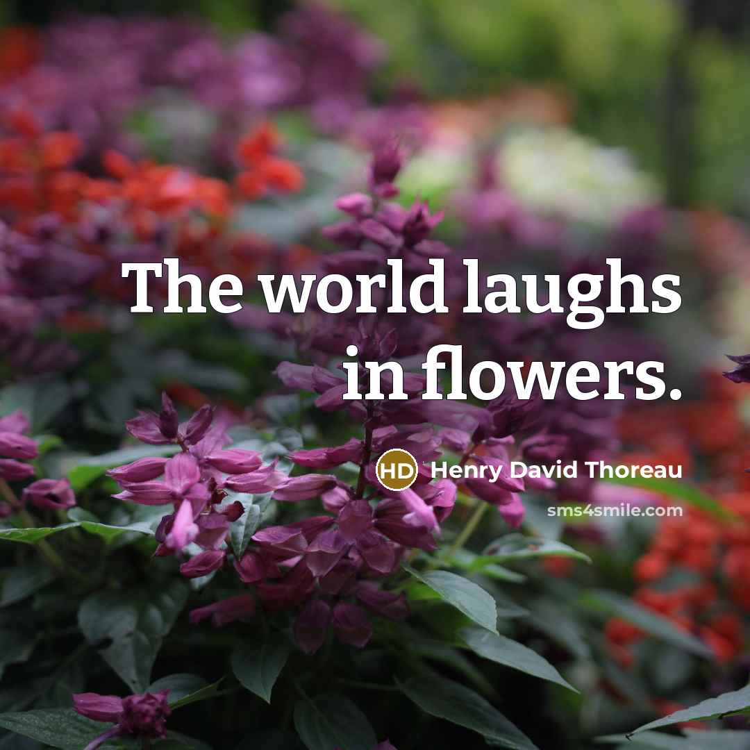 “The world laughs in flowers.…” quote by Henry David Thoreau