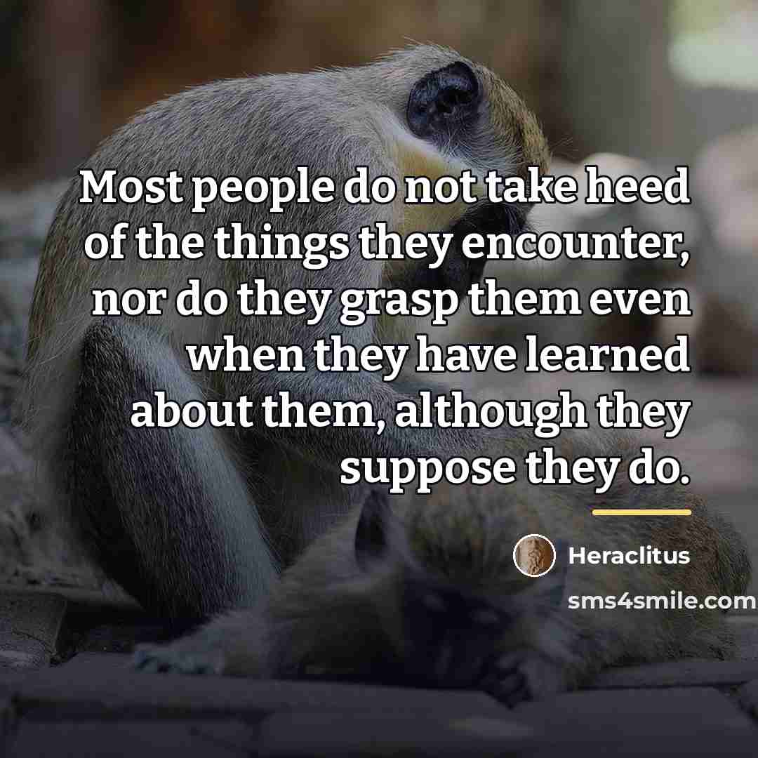 “Most people do not take heed of the things they…” quote by Heraclitus