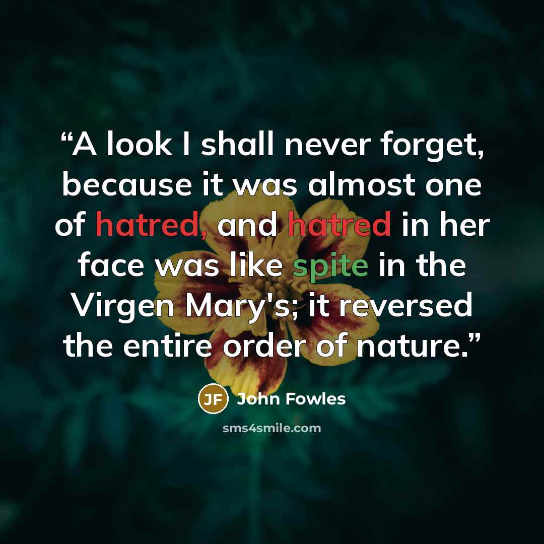 “A look I shall never forget, because it was almost one of hatred, and hatred in her face was like spite in the Virgen Mary's; it reversed the entire order of nature.” quote by John Fowles