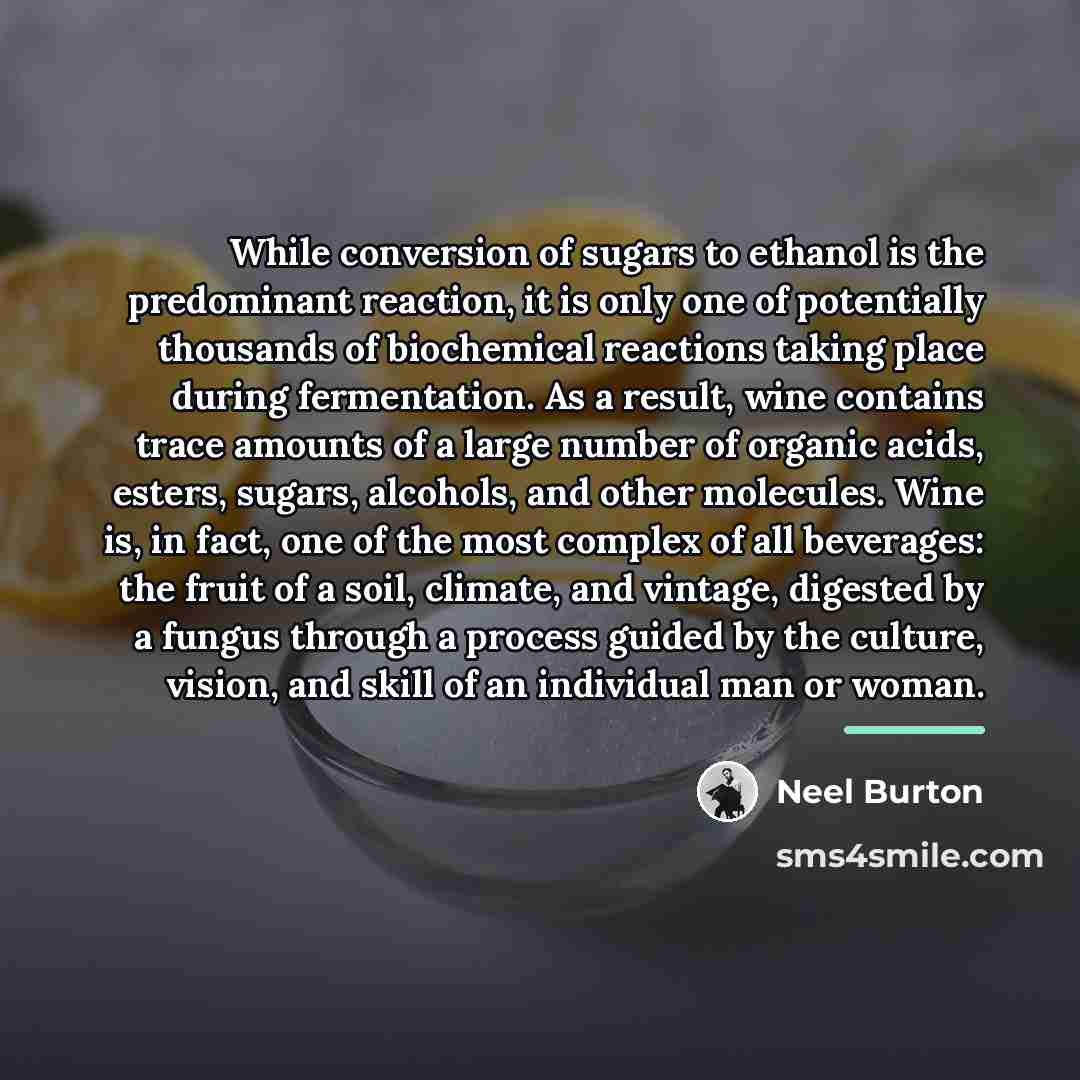 “While conversion of sugars to ethanol is the predominant reaction,…” quote by Neel Burton