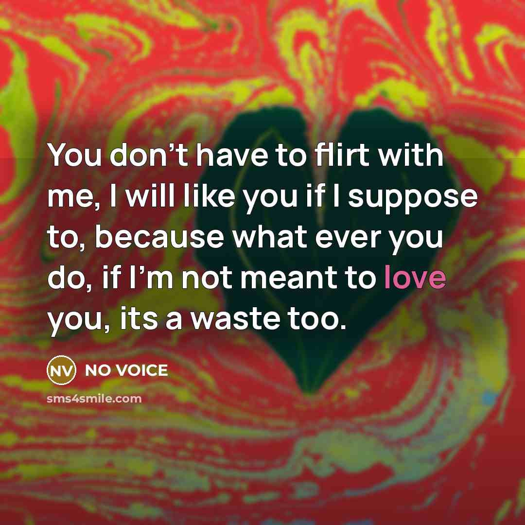 “You don't have to flirt with me, I will like…” quote by NO VOICE