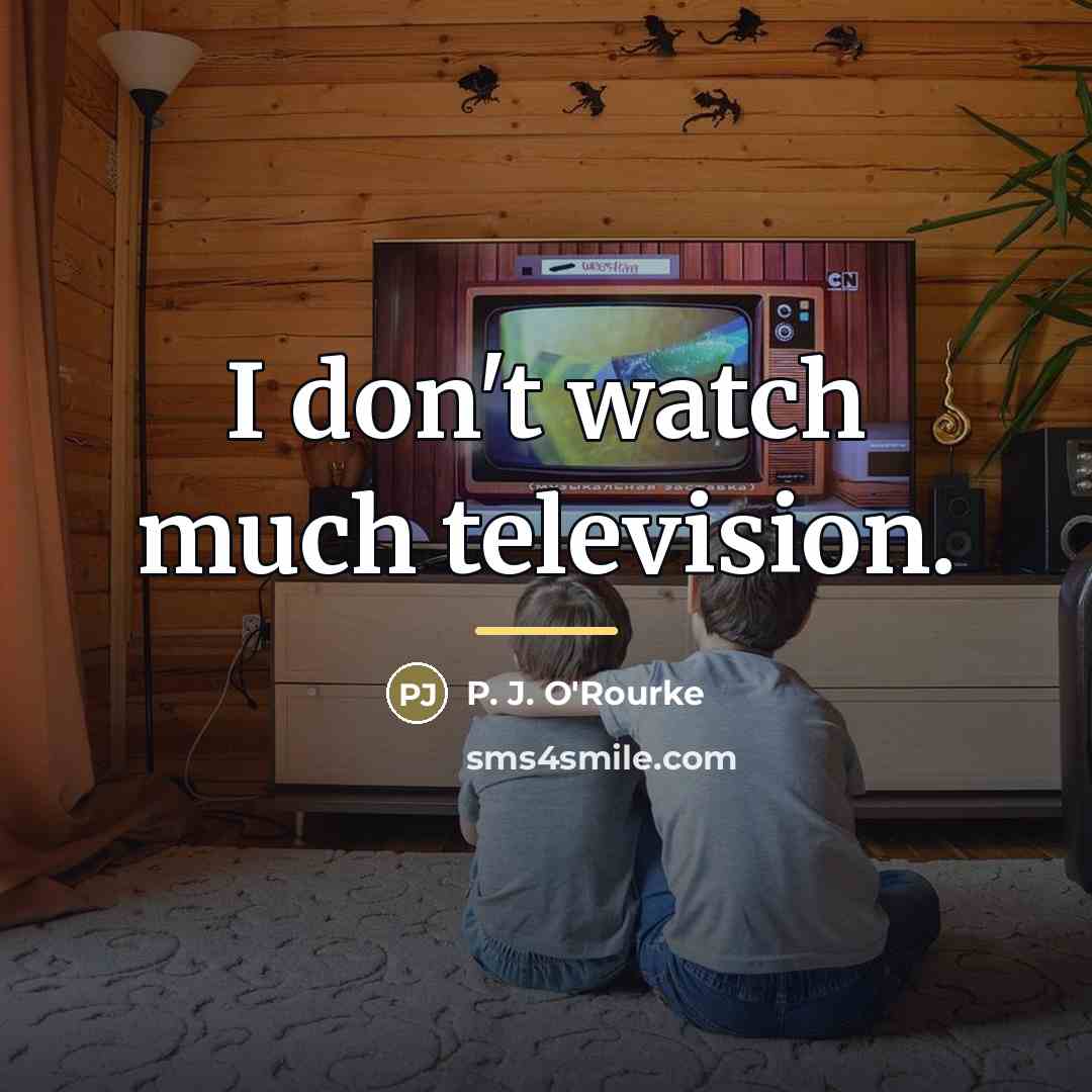 “I don't watch much television.…” quote by P. J. O'Rourke