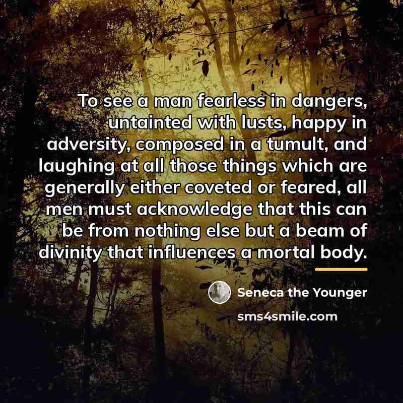“To see a man fearless in dangers, untainted with lusts,…” quote by Seneca the Younger