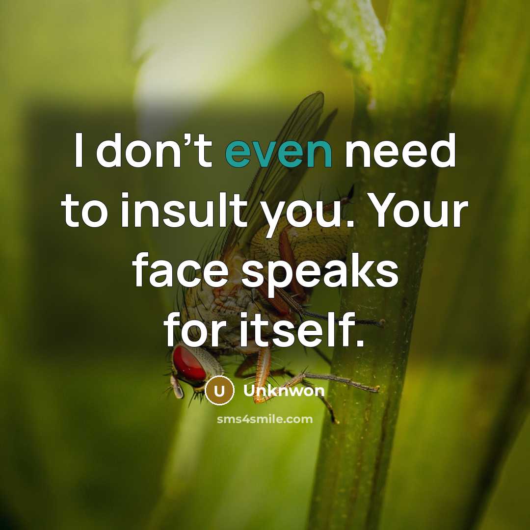 “I don't even need to insult you. Your face speaks for itself.” quote by Unknwon