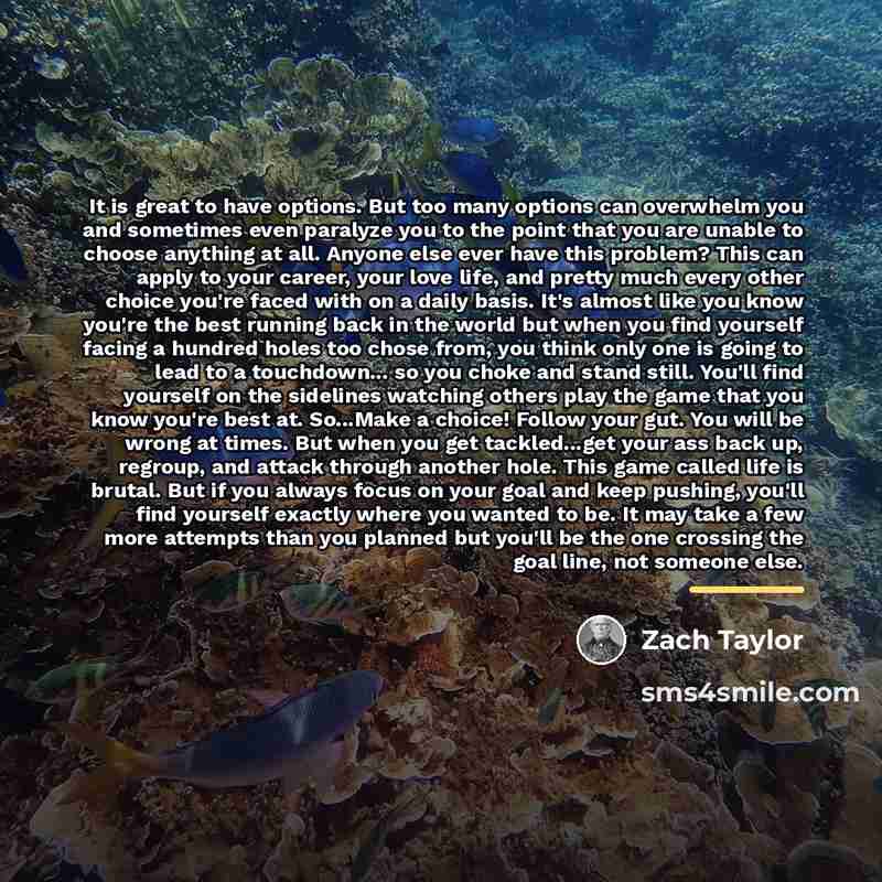 “It is great to have options. But too many options…” quote by Zach Taylor