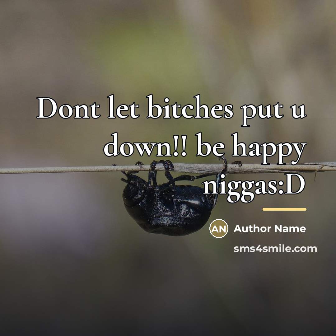 “Dont let bitches put u down!! be happy niggas:D…” quote by Author Name