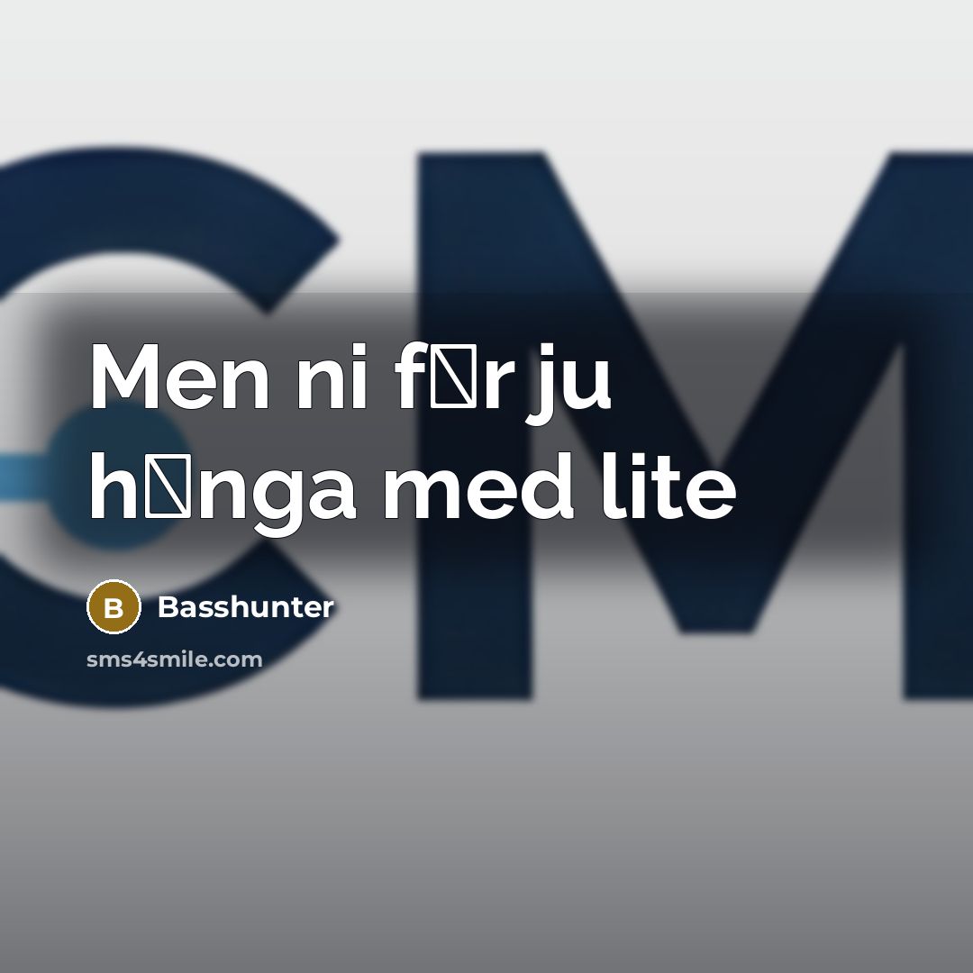 “Men ni f�r ju h�nga med lite” quote by Basshunter