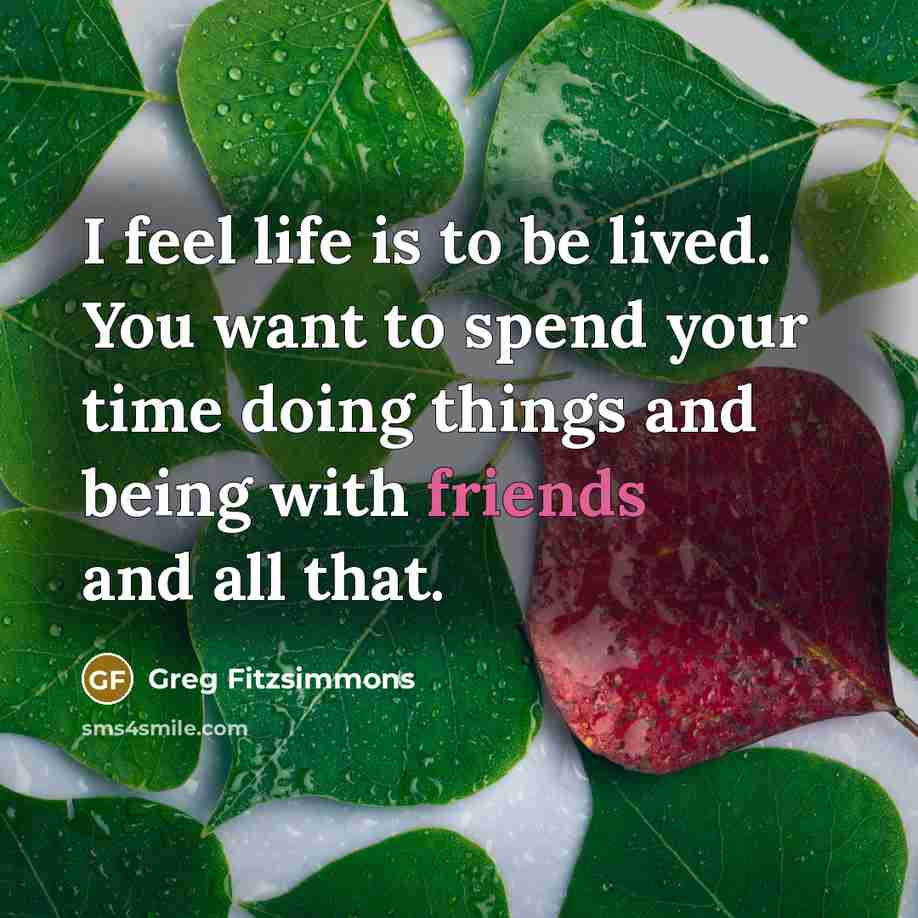 “I feel life is to be lived. You want to…” quote by Greg Fitzsimmons