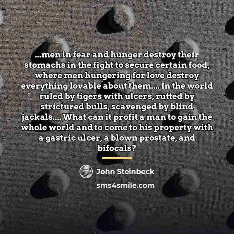 “...men in fear and hunger destroy their stomachs in the…” quote by John Steinbeck