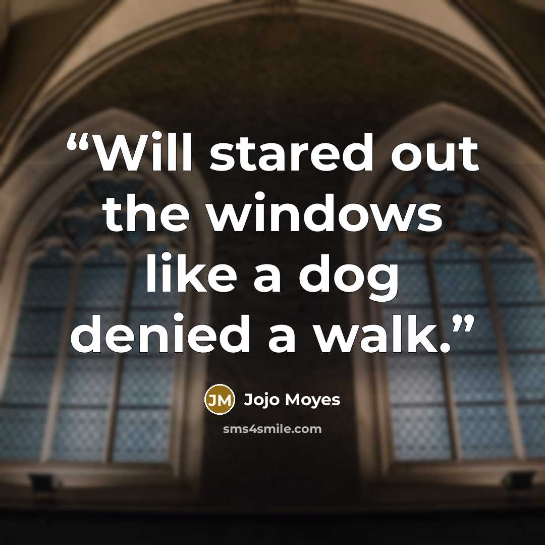 “Will stared out the windows like a dog denied a walk.” quote by JoJo Moyes