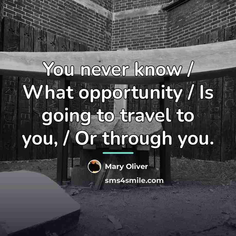 “You never know / What opportunity / Is going to…” quote by Mary Oliver