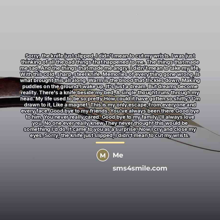“Sorry, the knife just slipped, I didn't mean to cut…” quote by Me
