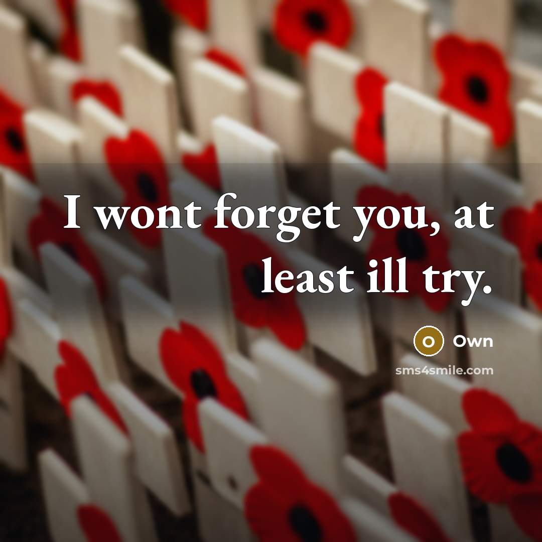 “I wont forget you, at least ill try.” quote by Own