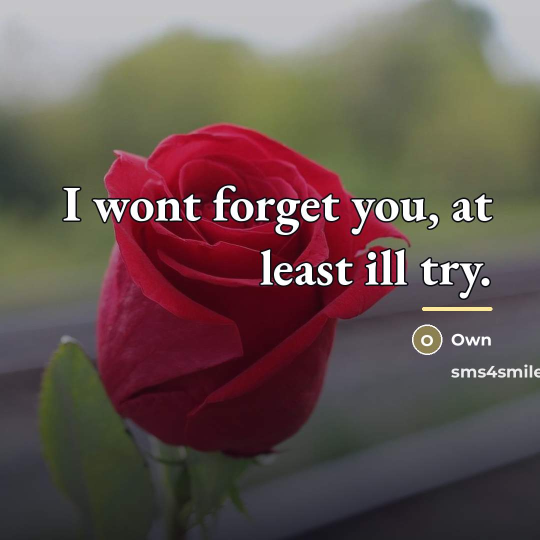 “I wont forget you, at least ill try.…” quote by Own