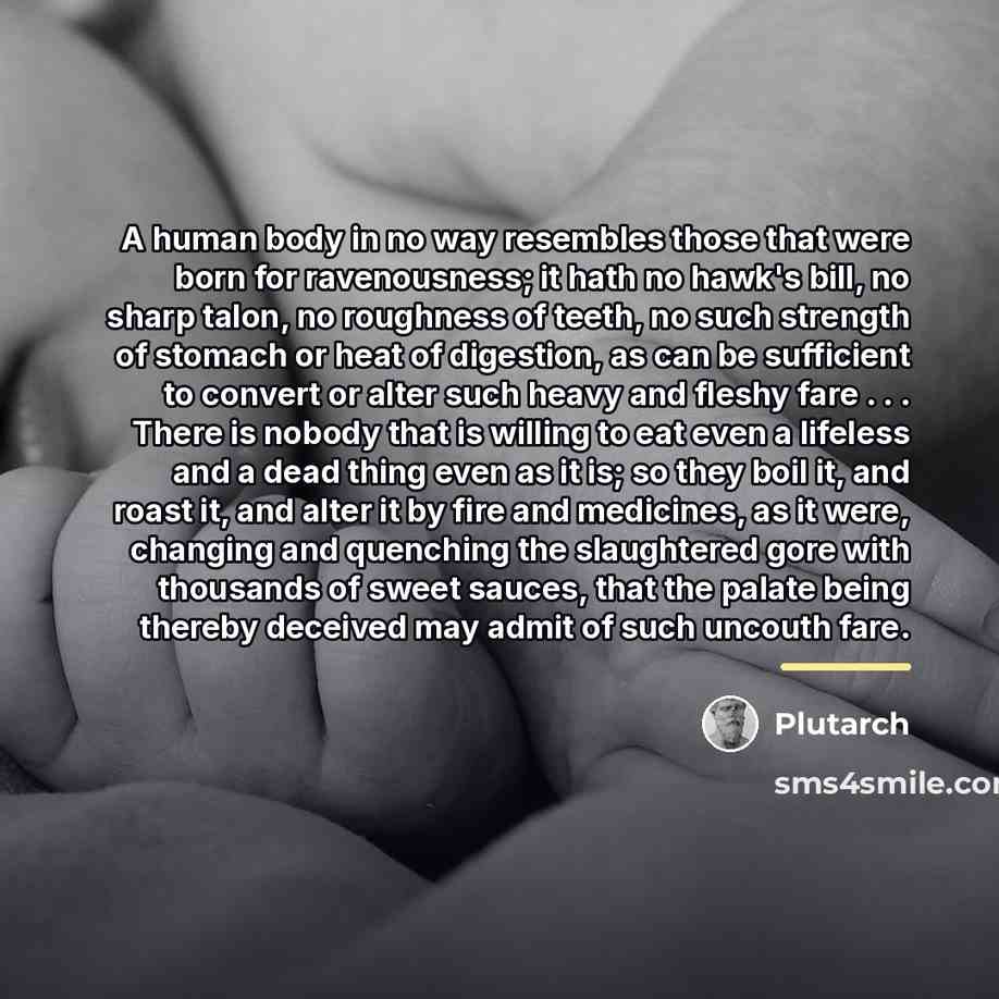 “A human body in no way resembles those that were…” quote by Plutarch