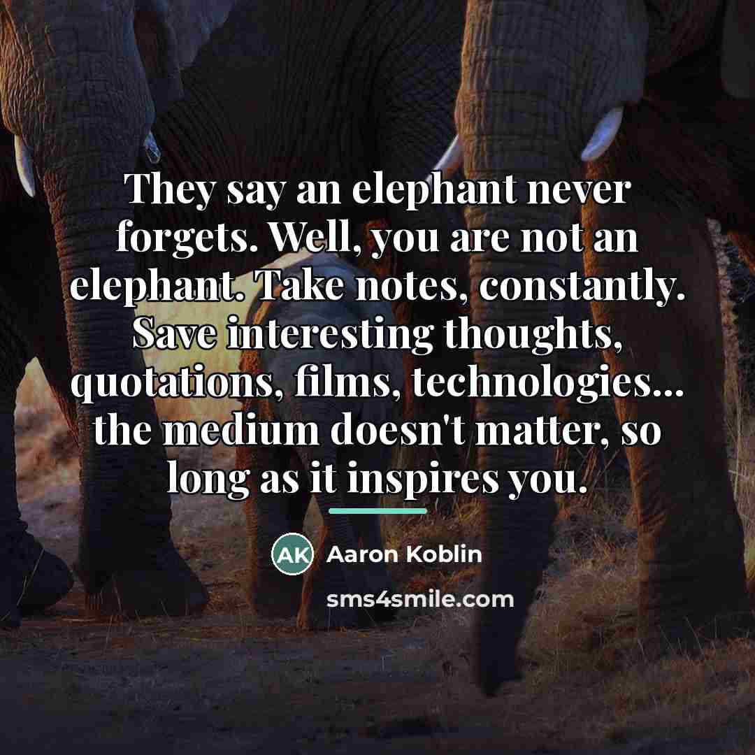 “They say an elephant never forgets. Well, you are not…” quote by Aaron Koblin