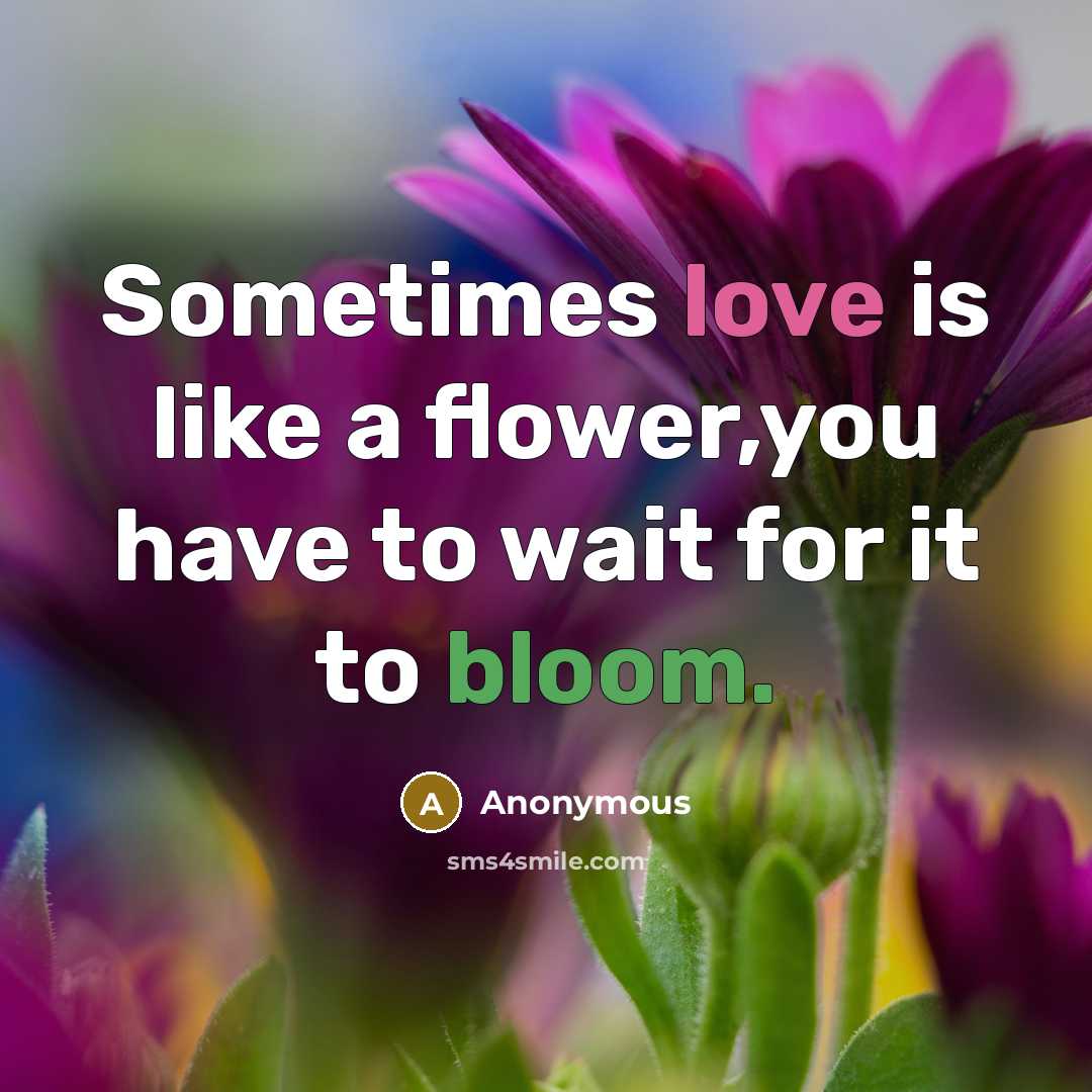“Sometimes love is like a flower,you have to wait for it to bloom.” quote by Anonymous