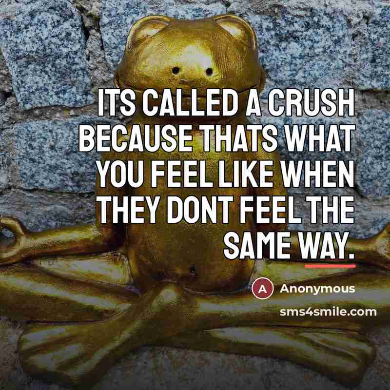 “Its called a crush because thats what you feel like…” quote by Anonymous