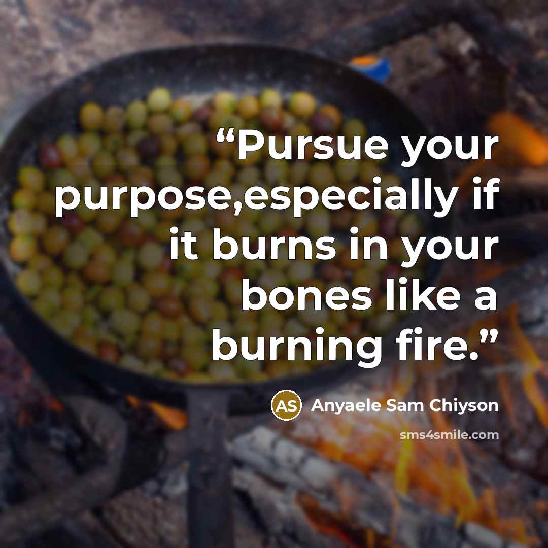 “Pursue your purpose,especially if it burns in your bones like a burning fire.” quote by Anyaele Sam Chiyson