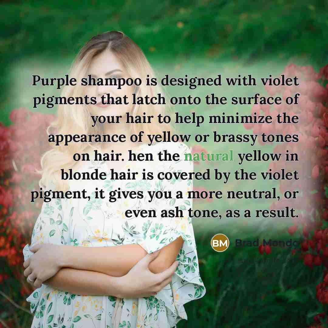 “Purple shampoo is designed with violet pigments that latch onto…” quote by Brad Mondo