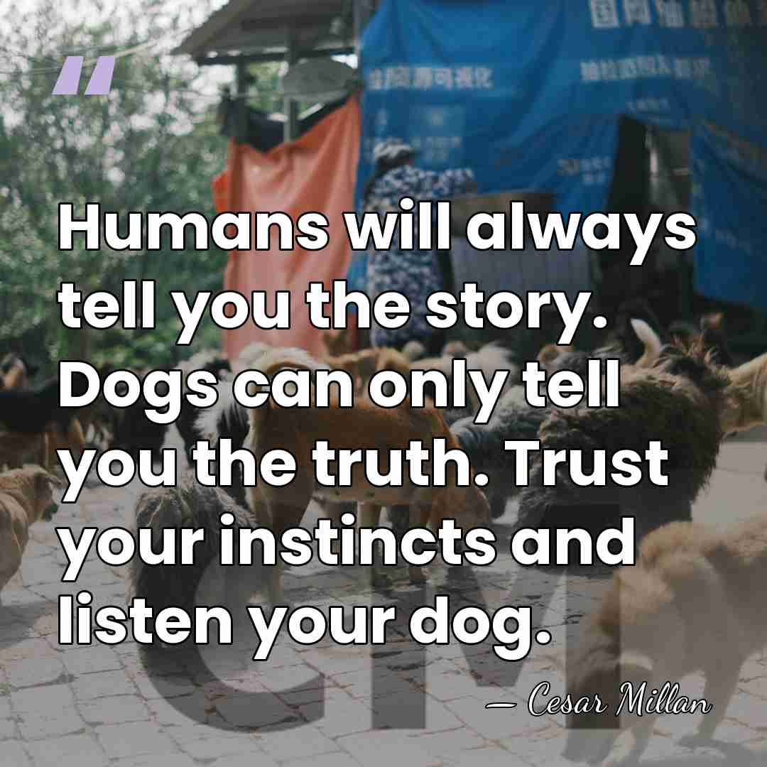 Humans will always tell you the story. Dogs can only tell you&hellip; - Cesar Millan