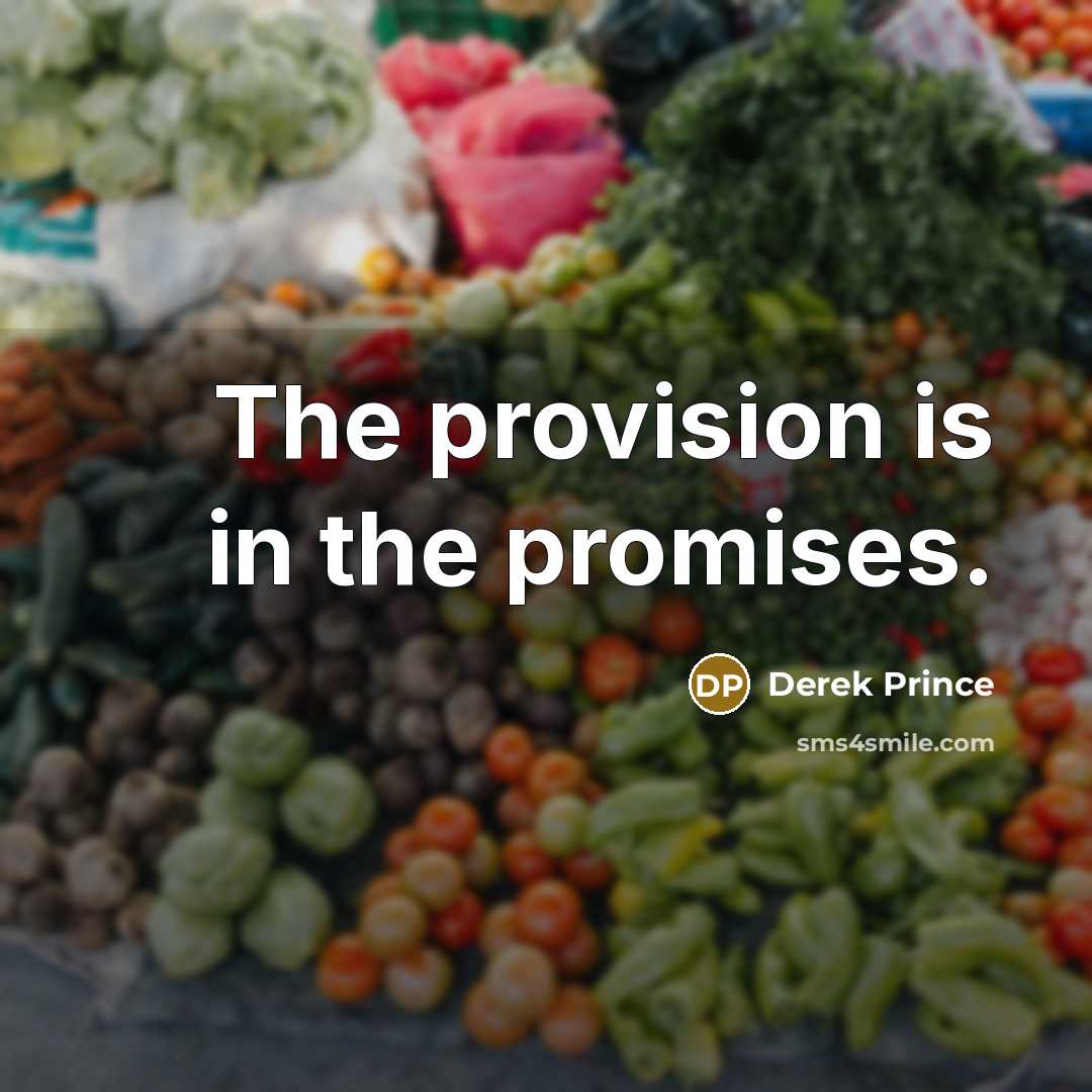 “The provision is in the promises.…” quote by Derek Prince