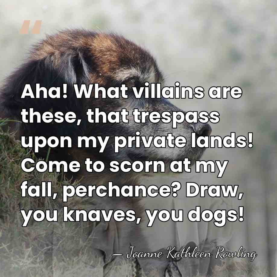 Aha! What villains are these, that trespass upon my private lands! Come&hellip; - Joanne Kathleen Rowling