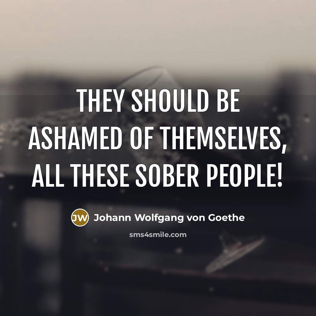 “They should be ashamed of themselves, all these sober people!…” quote by Johann Wolfgang von Goethe