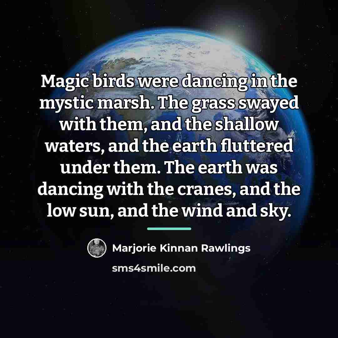 “Magic birds were dancing in the mystic marsh. The grass…” quote by Marjorie Kinnan Rawlings