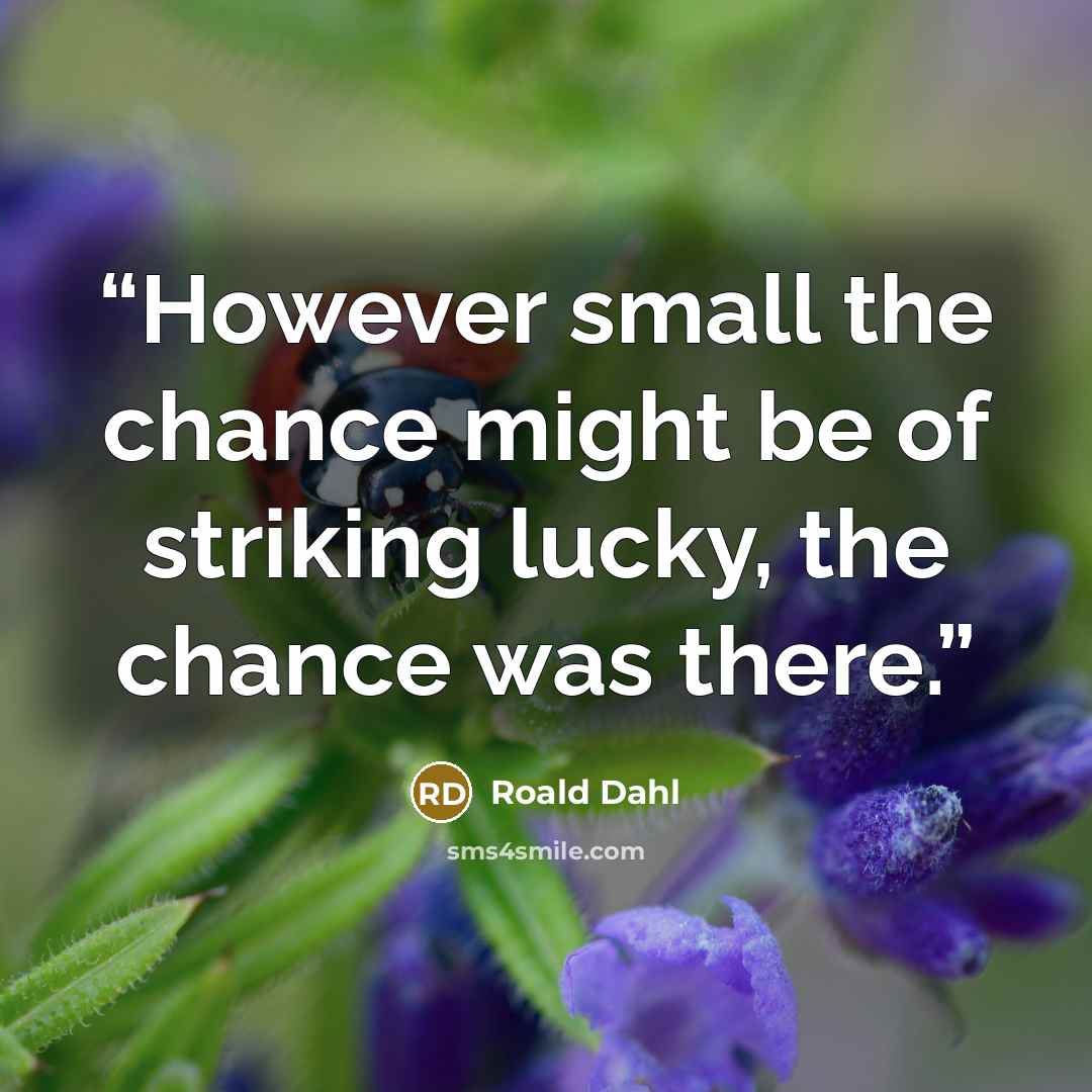 “However small the chance might be of striking lucky, the chance was there.” quote by Roald Dahl