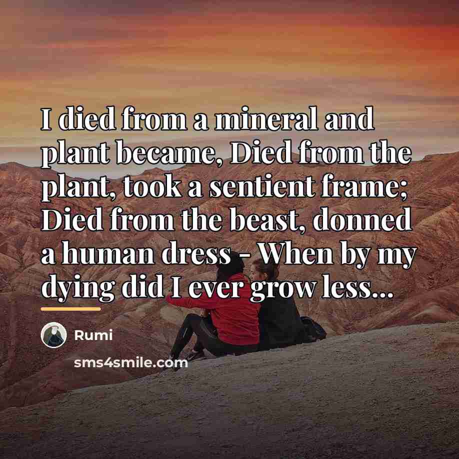 “I died from a mineral and plant became, Died from…” quote by Rumi
