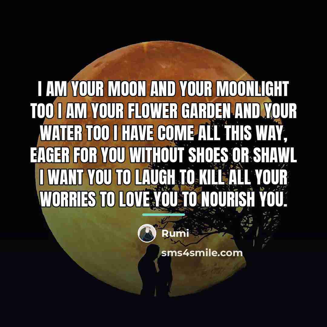 “I am your moon and your moonlight too I am…” quote by Rumi