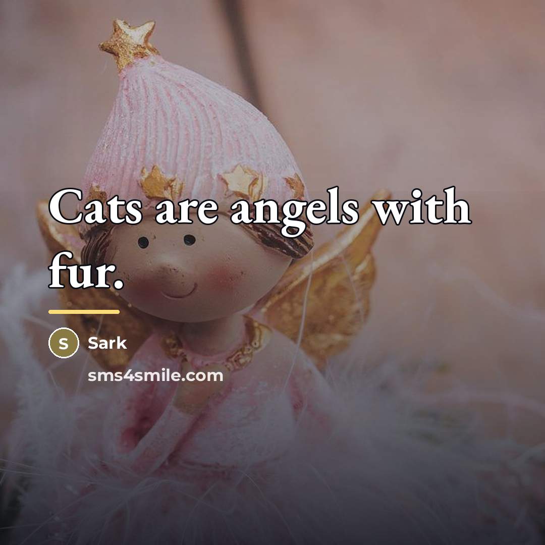 “Cats are angels with fur.…” quote by Sark