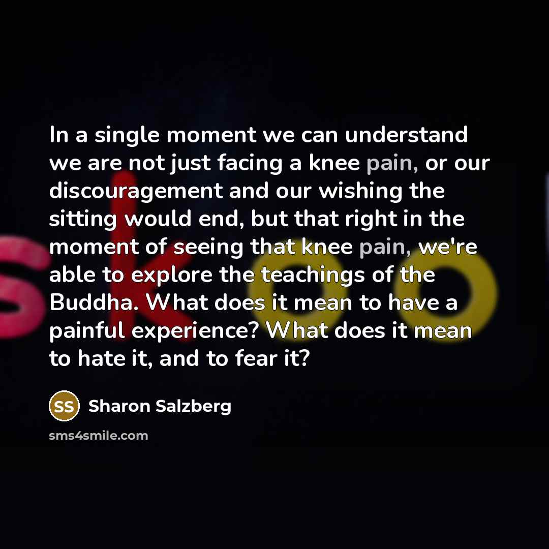 “In a single moment we can understand we are not…” quote by Sharon Salzberg