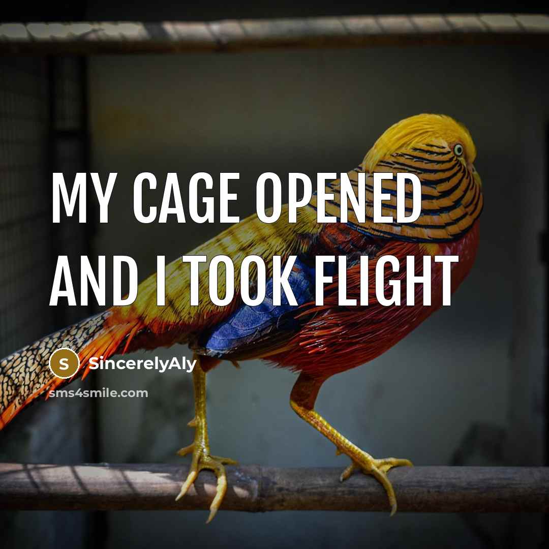 “My cage opened and I took flight…” quote by SincerelyAly