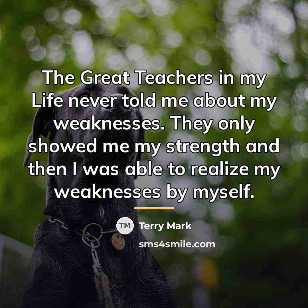 “The Great Teachers in my Life never told me about…” quote by Terry Mark