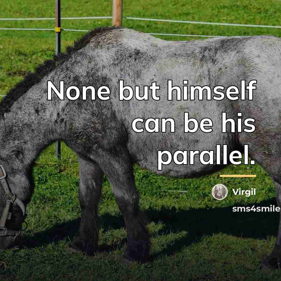 “None but himself can be his parallel.…” quote by Virgil