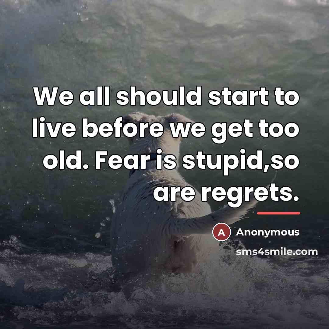 “We all should start to live before we get too…” quote by Anonymous