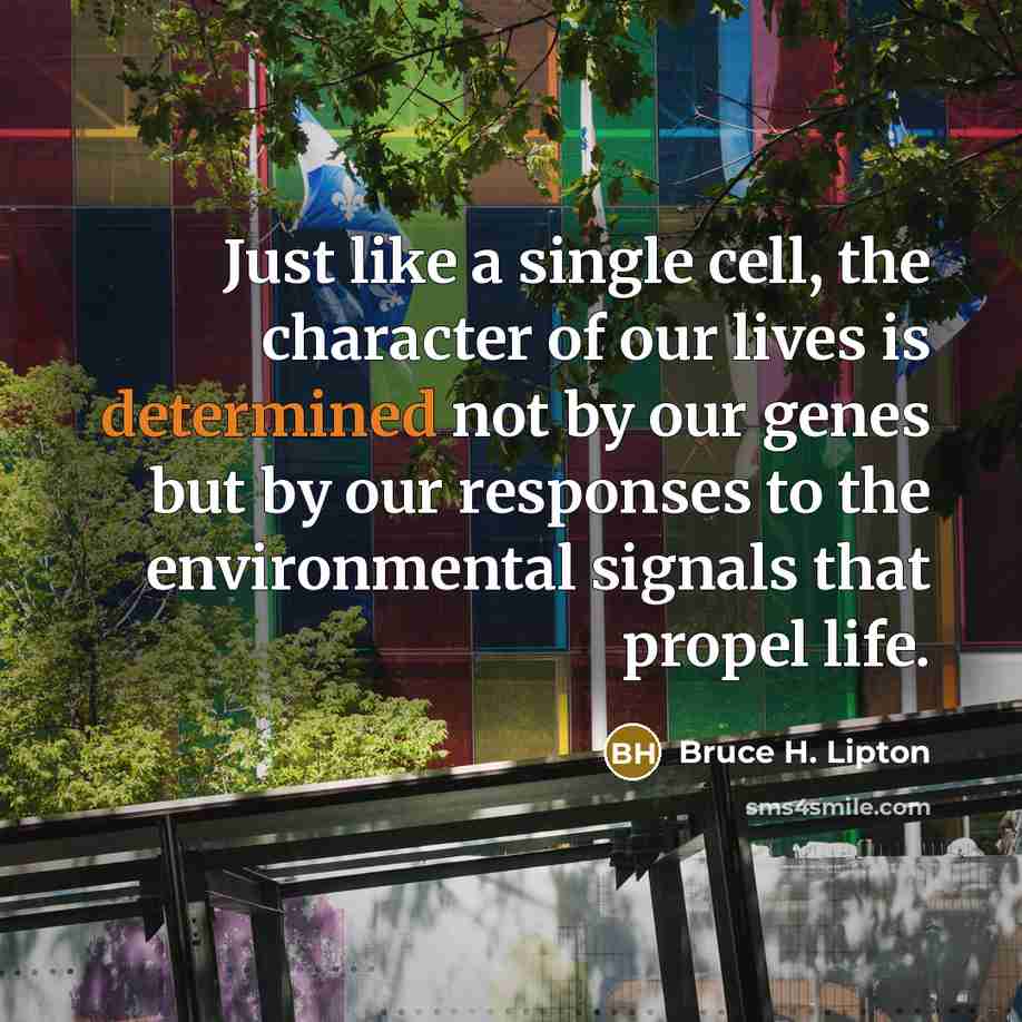 “Just like a single cell, the character of our lives…” quote by Bruce H. Lipton