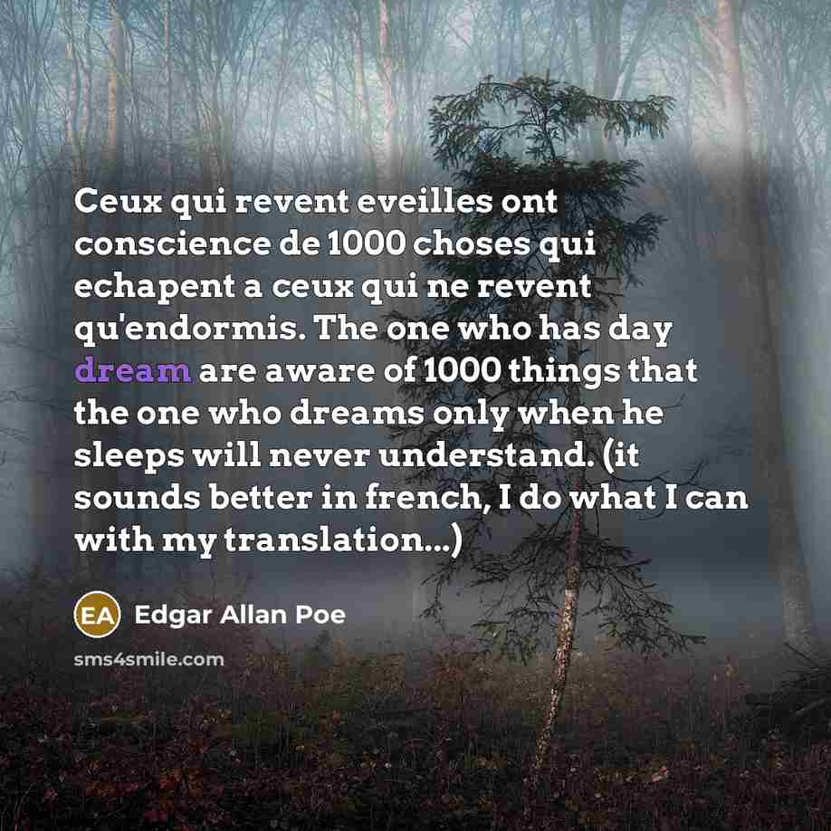 “Ceux qui revent eveilles ont conscience de 1000 choses qui…” quote by Edgar Allan Poe