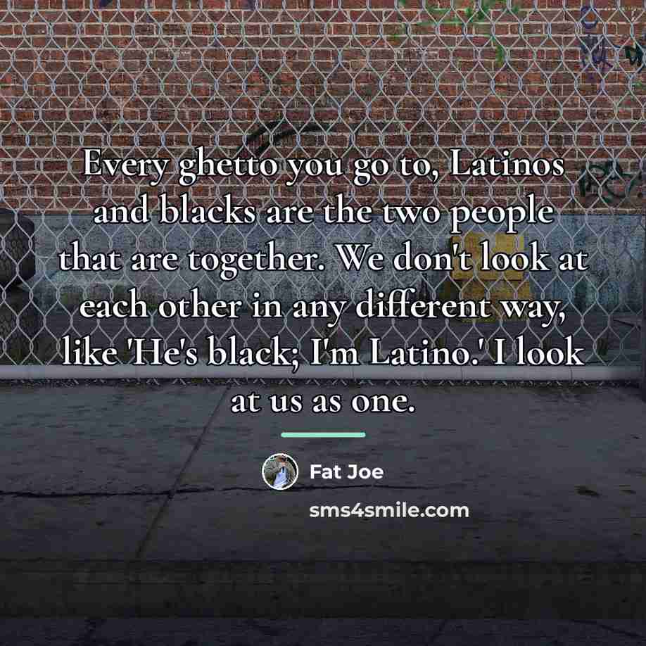 “Every ghetto you go to, Latinos and blacks are the…” quote by Fat Joe