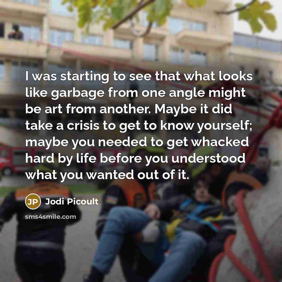 “I was starting to see that what looks like garbage…” quote by Jodi Picoult